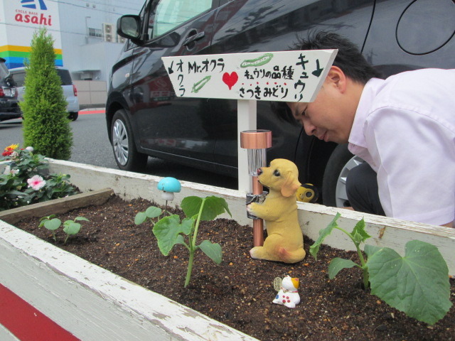 中古車販売 中古車買取 アップル