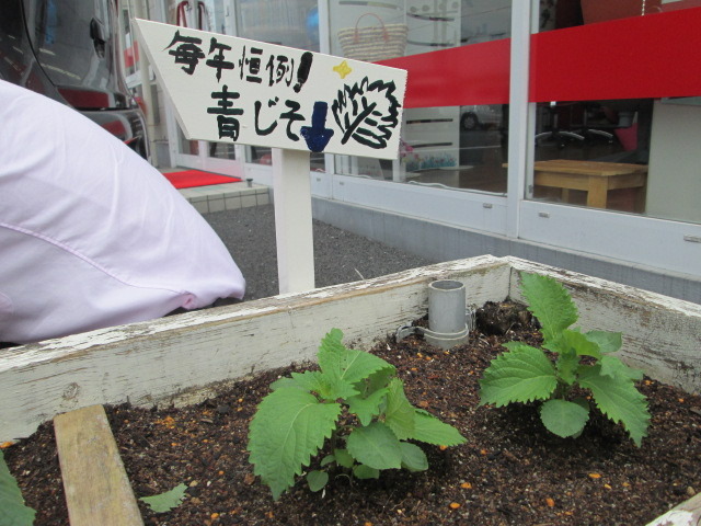 中古車販売 中古車買取 アップル