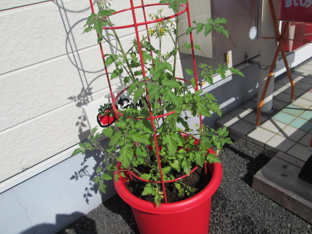 中古車販売 中古車買取 アップル