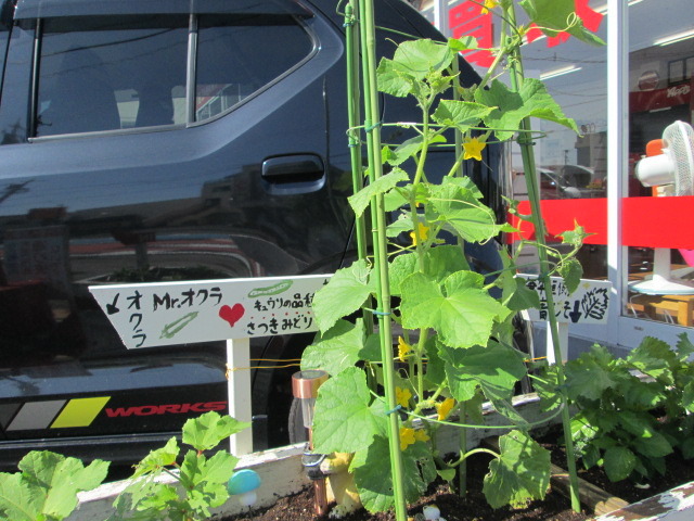 中古車販売 中古車買取 アップル