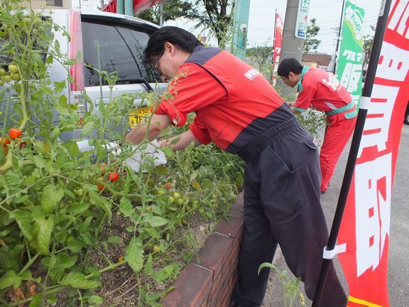 中古車販売 中古車買取 アップル