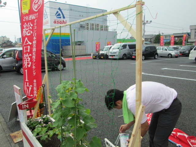 中古車販売 中古車買取 アップル