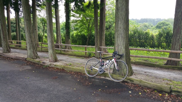 中古車販売 中古車買取 アップル