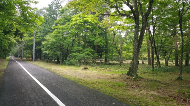 中古車販売 中古車買取 アップル