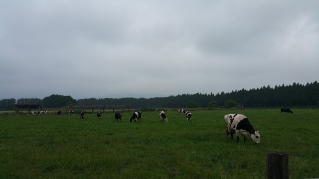 中古車販売 中古車買取 アップル