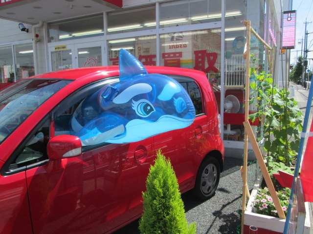 中古車販売 中古車買取 アップル