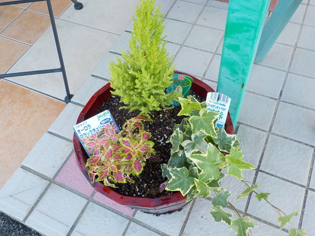 中古車販売 中古車買取 アップル