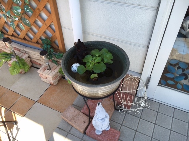 中古車販売 中古車買取 アップル