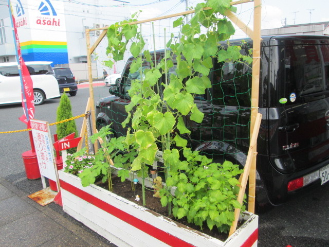 中古車販売 中古車買取 アップル