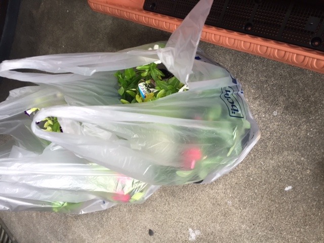 中古車販売 中古車買取 アップル