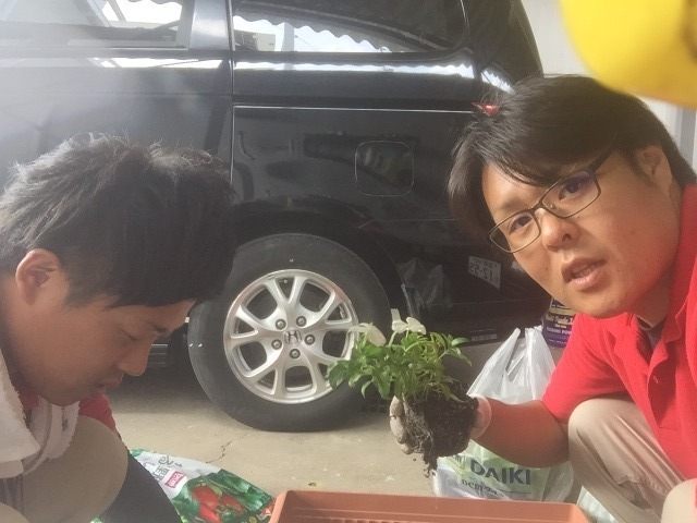 中古車販売 中古車買取 アップル