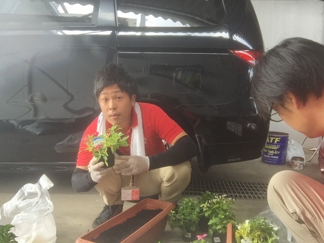 中古車販売 中古車買取 アップル