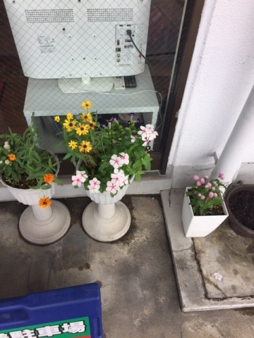 中古車販売 中古車買取 アップル