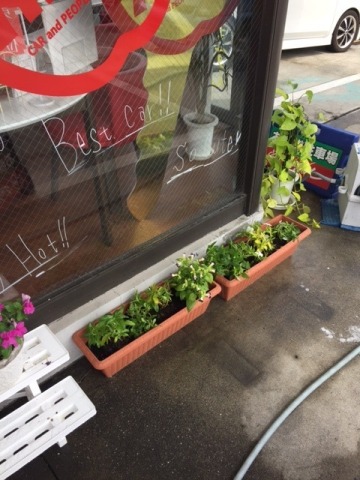 中古車販売 中古車買取 アップル