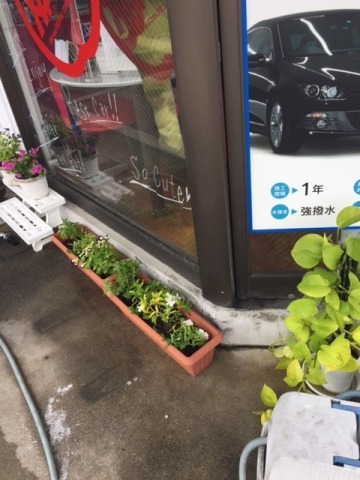 中古車販売 中古車買取 アップル