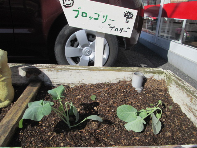 中古車販売 中古車買取 アップル