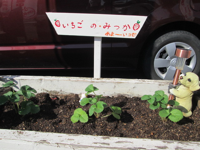 中古車販売 中古車買取 アップル