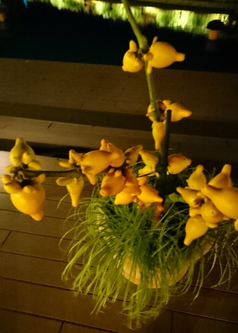 中古車販売 中古車買取 アップル