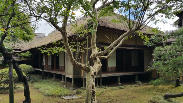 中古車販売 中古車買取 アップル