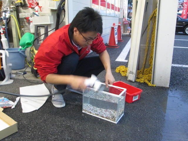 中古車販売 中古車買取 アップル