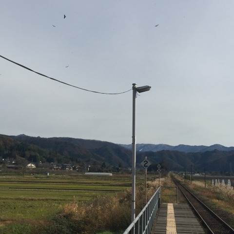 中古車販売 中古車買取 アップル