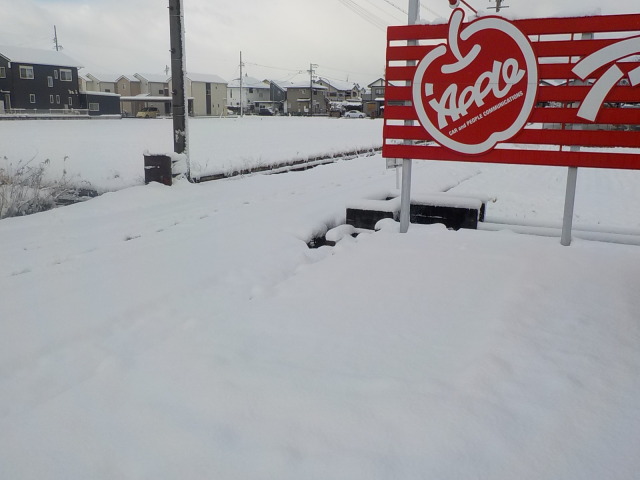 中古車販売 中古車買取 アップル