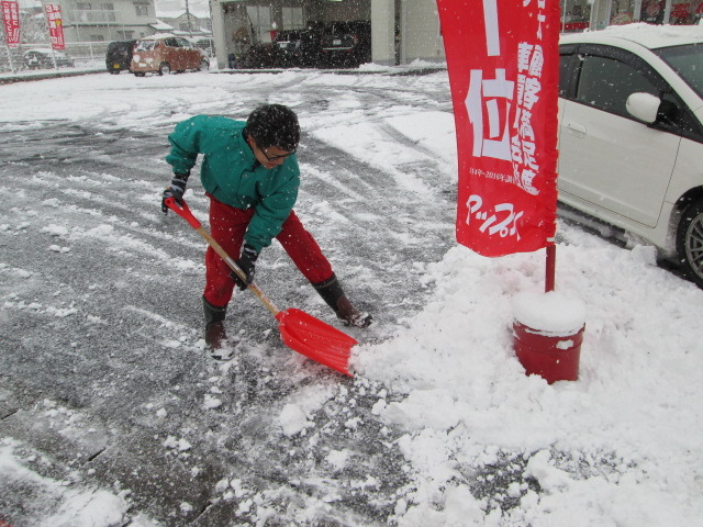 中古車販売 中古車買取 アップル
