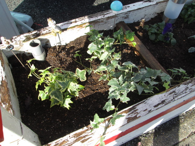 中古車販売 中古車買取 アップル