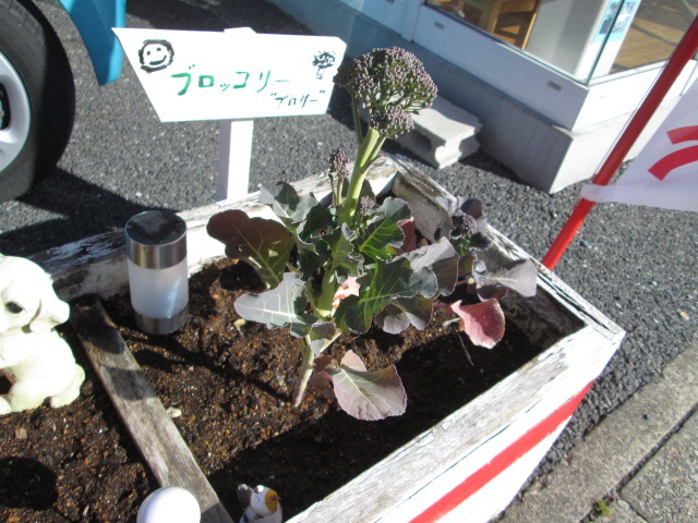 中古車販売 中古車買取 アップル