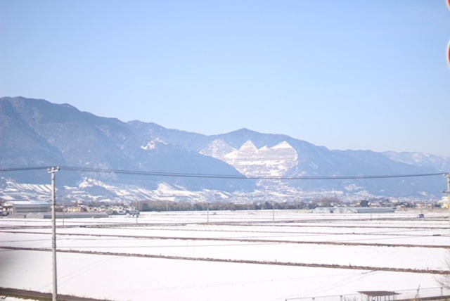 中古車販売 中古車買取 アップル