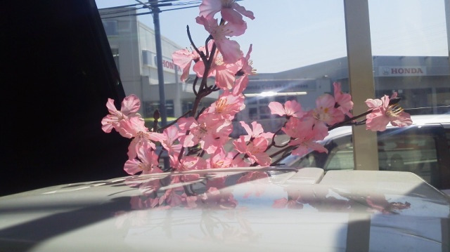 中古車販売 中古車買取 アップル