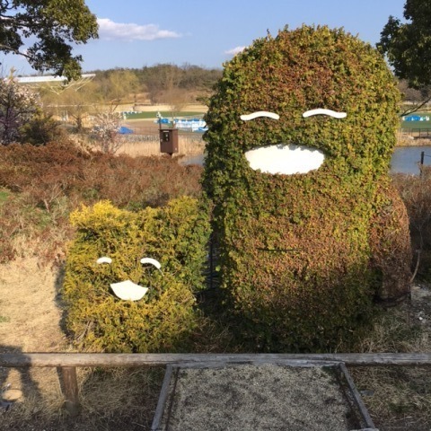 中古車販売 中古車買取 アップル