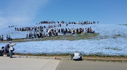 中古車販売 中古車買取 アップル