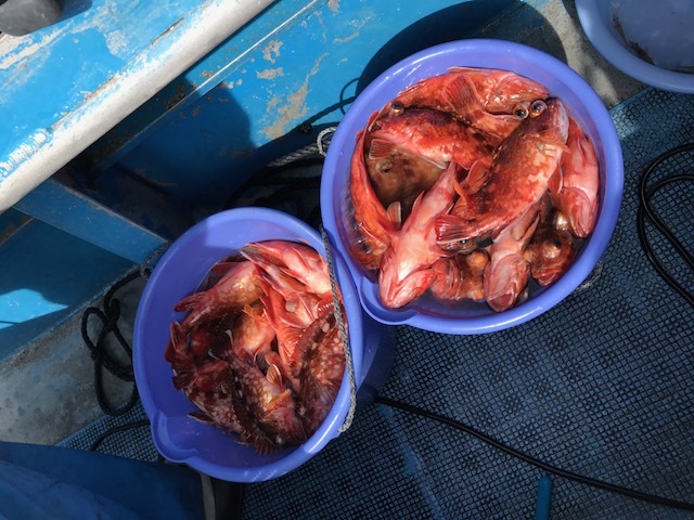 中古車販売 中古車買取 アップル