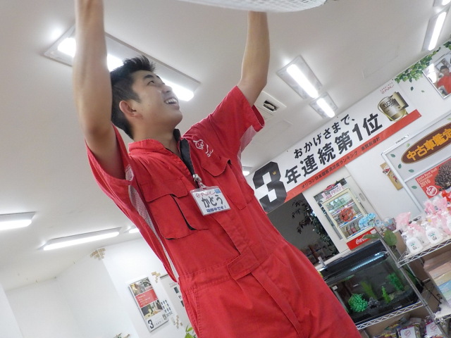 中古車販売 中古車買取 アップル