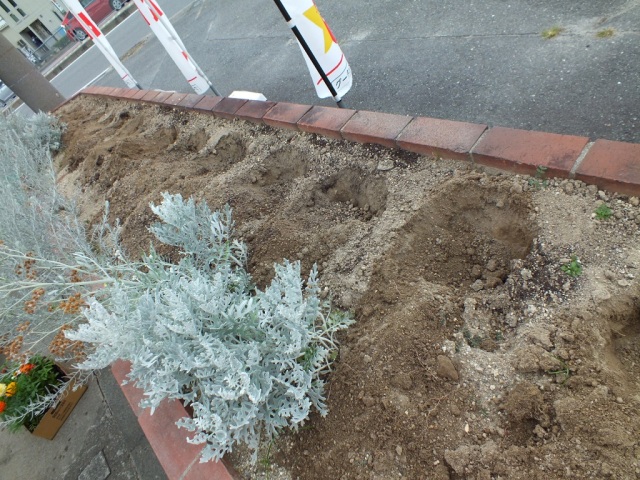 中古車販売 中古車買取 アップル