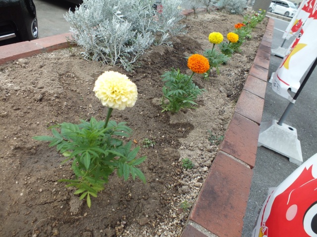 中古車販売 中古車買取 アップル