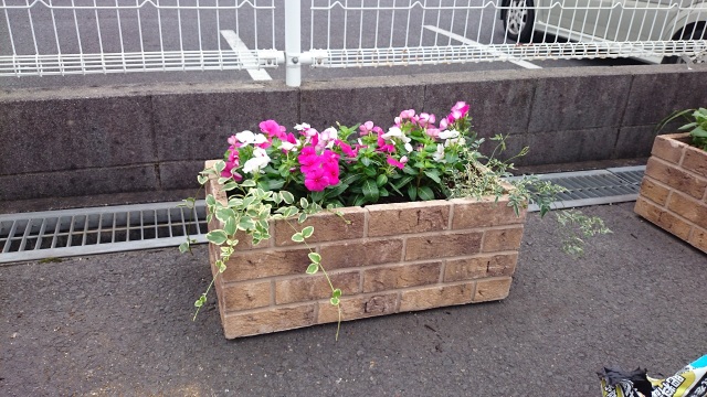 中古車販売 中古車買取 アップル