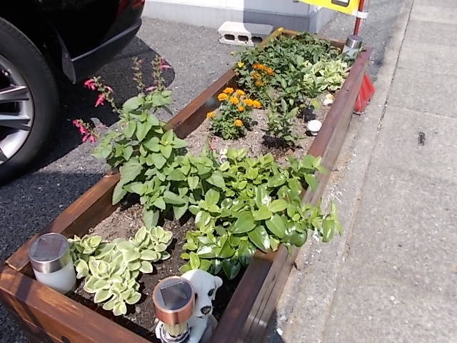 中古車販売 中古車買取 アップル