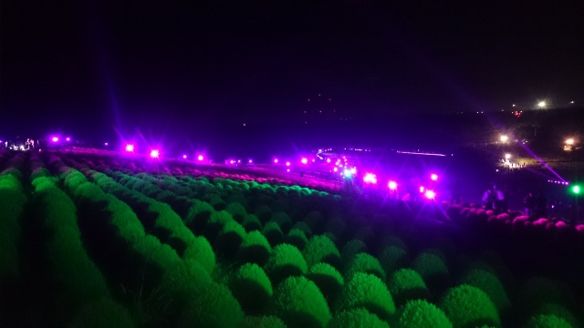 中古車販売 中古車買取 アップル