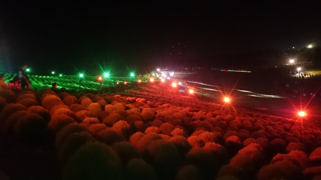 中古車販売 中古車買取 アップル