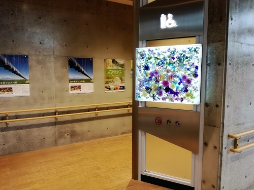 中古車販売 中古車買取 アップル