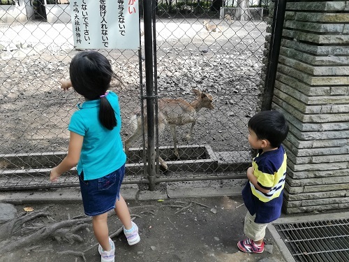 中古車販売 中古車買取 アップル