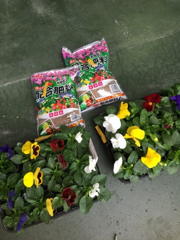 中古車販売 中古車買取 アップル