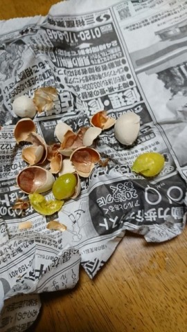 中古車販売 中古車買取 アップル