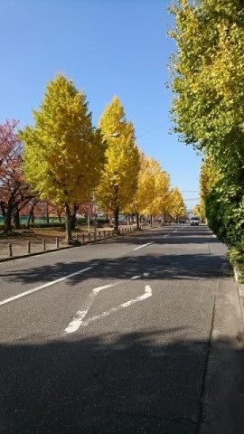 中古車販売 中古車買取 アップル