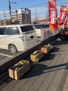 中古車販売 中古車買取 アップル