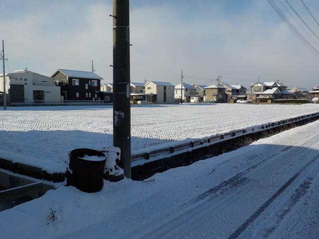 中古車販売 中古車買取 アップル