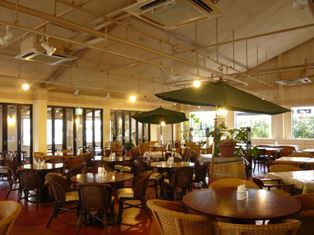 中古車販売 中古車買取 アップル