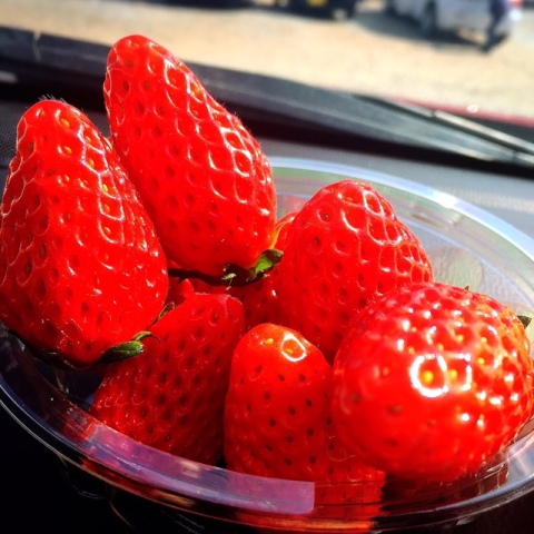 中古車販売 中古車買取 アップル